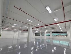 Lam Soon Industrial Building (D23), Factory #573463201